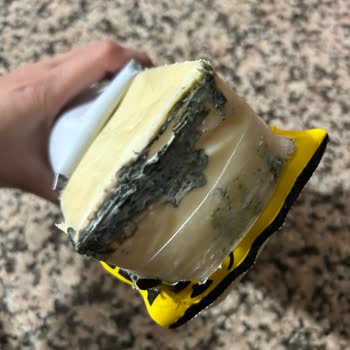 Küflü Kaşar Sorunu Ve Kalite Düşüklüğü