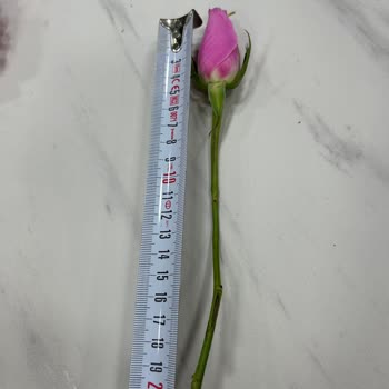 Ölü Çiçek Ve İlgisiz Müşteri Hizmetleri