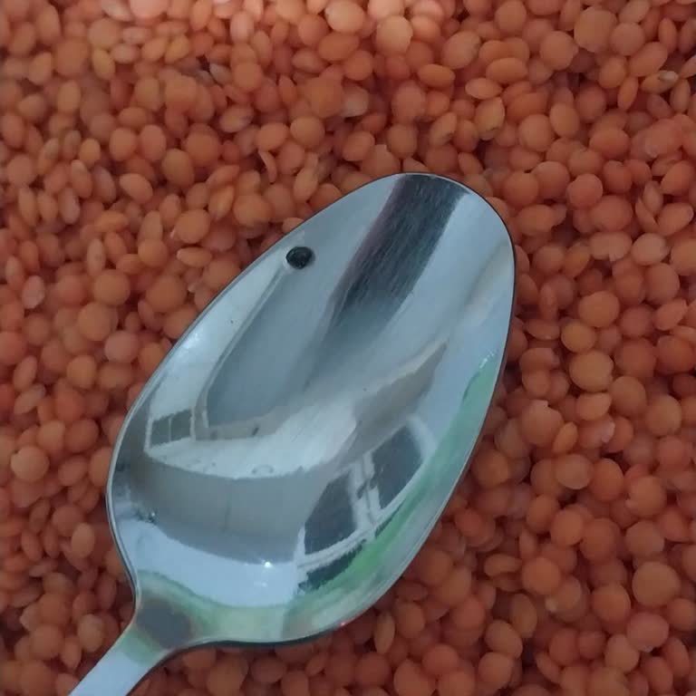 Yayla Kırmızı Mercimeklerde Böcek Şoku