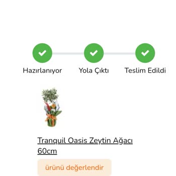 Tazecicek.com'da Teslimat Sorunu Ve İletişim Eksikliği
