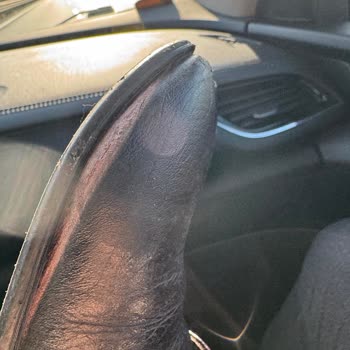 Trendyol Müşteri Hizmetleri: Çözüm Bekleyen Sorunlar