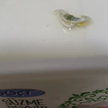 BİM'den Aldığım Peynirin İçinden Çıkan Şok Edici Madde