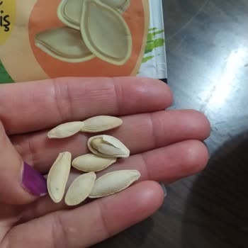 Kabak Çekirdeğinde Büyük Hayal Kırıklığı: Görüntü Ve Kalite Uyuşmazlığı