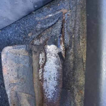 Ford Courier Araçlarda Kronik Şasi Numarası Sorunu