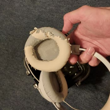 JBL Quantum 100 Kulaklık Sünger Kaplaması Hayal Kırıklığı