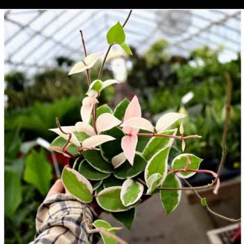 Aras Kargo Kırklareli Şubesi'nde Teslimat Sorunları