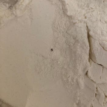 Limonlu Kek Karışımında Böcek Şoku