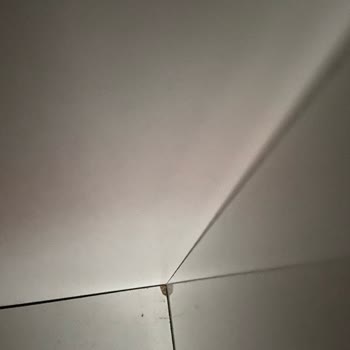 Modalife Gebze Şubesinde Yaşanan Sorunlu Alışveriş Deneyimi