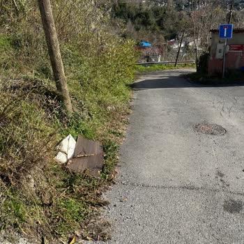 Doğtaş Ekiplerinin Çevreye Saygısızlığı
