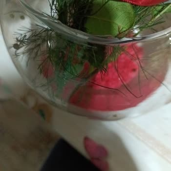 Evlilik Yıldönümünde Hayal Kırıklığı: Kırık Vazo Sorunu