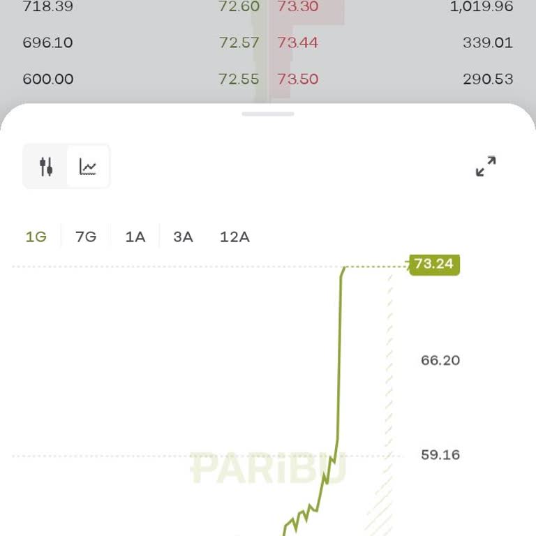 BTCTURK Ve Paribu Arasındaki Fiyat Farkı Sorunu
