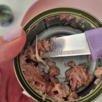 Fide Konserve Ton Balığında Şok Edici Kılçık Keşfi