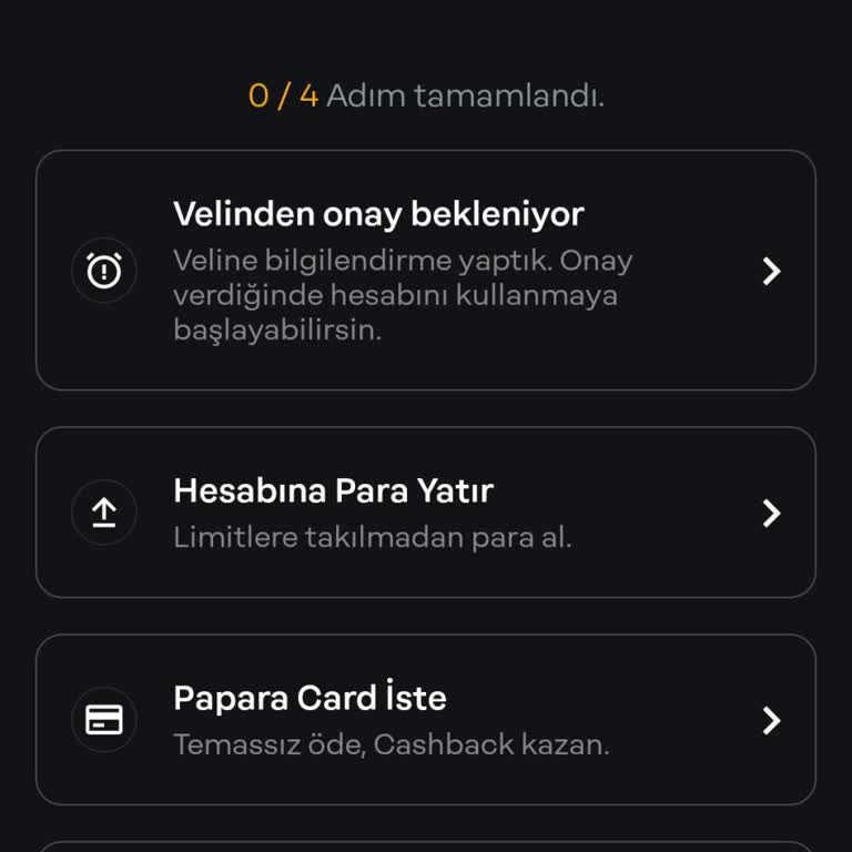 Papara Veli Onayı Ve Belge Sorunu: Türk Vatandaşı Olmayanlar İçin Çözüm Arayışı