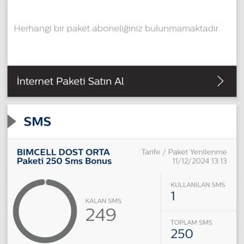 Yükleme Sonrası Bakiyenin Gizemli Kaybı