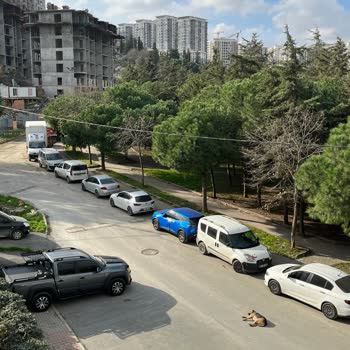 Gaziosmanpaşa Belediyesi Yıldıztabya Mahallesi'indeki Güvenlik Sorunu İçin Acil Çözüm Talebi