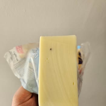 Kaşar Peynirinde Yabancı Madde Şoku