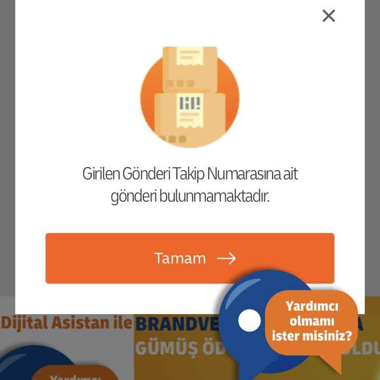 MNG Kargo Takip Sorunu Ve Erişim Problemleri