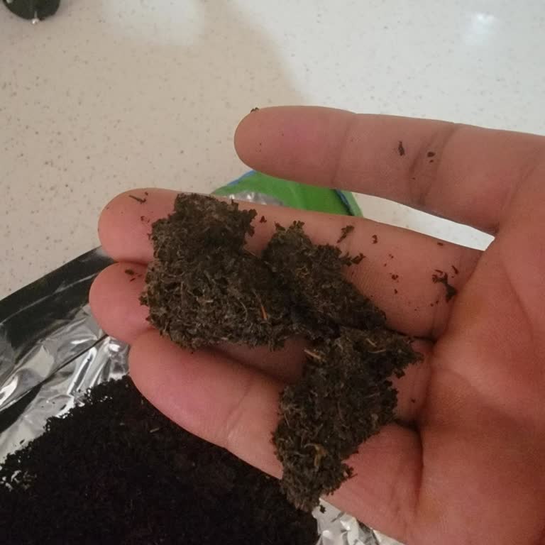 Ofçay Marka Çayda Küflenme Ve Topaklanma Şoku