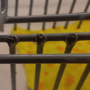 Bulaşık Makinesinde Paslanma Sorunu