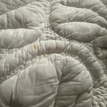 Dry Clean Express Kuru Temizleme Şikayeti