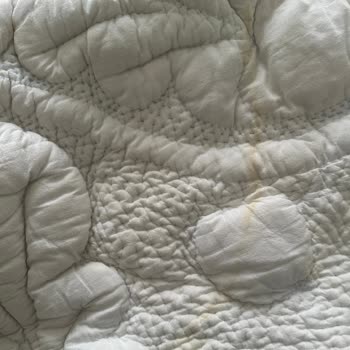 Dry Clean Express Kuru Temizleme Şikayeti