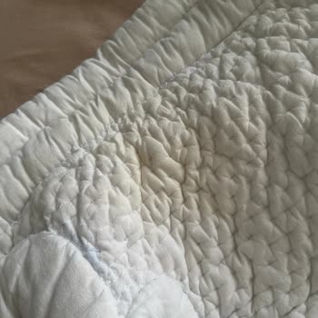 Dry Clean Express Kuru Temizleme Şikayeti