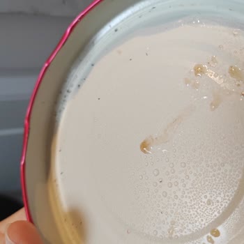 Küflü Kapak Ve Gıda Güvenliği Sorunu