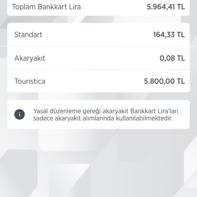 ParaPuan Kullanım Sorunu: İnternet Alışverişinde Kısıtlama