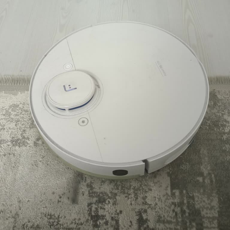 Fakir Süpürge İle İlgisizlik Ve Teknik Sorunlar