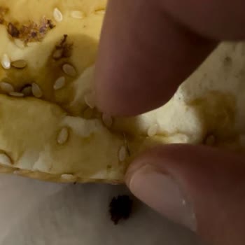 Ekmekte Tehlikeli Metal Parçalar: Sağlığımız Tehlikede!