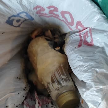 Bozulan Ömür Bozası: Kötü Deneyim Ve Hayal Kırıklığı