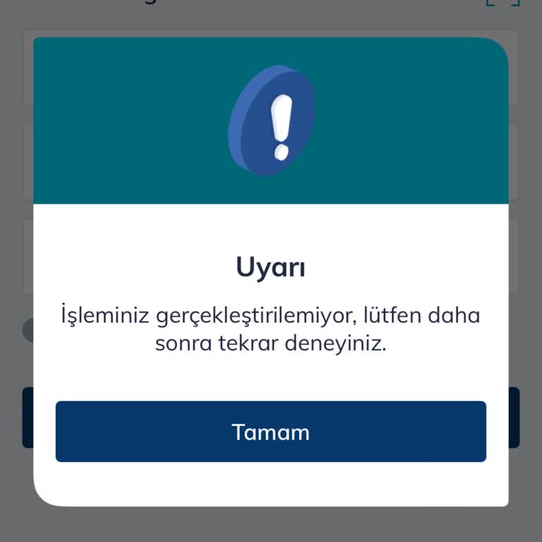 Ödeme Sistemi Arızası Nedeniyle İnternetsiz Kalan Müşteri