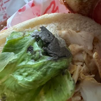 Arby's Hamburgerde Sağlık Tehlikesi