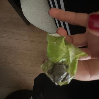 Arby's Hamburgerde Sağlık Tehlikesi