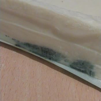 Küflü Kaşar Peyniri Sorunu