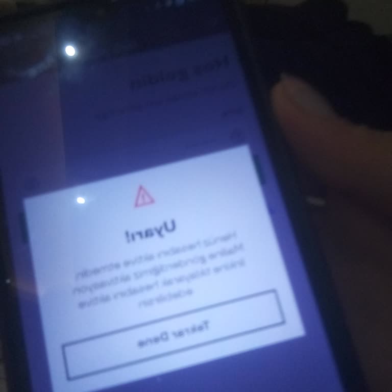 Pluxee Uygulamasında Giriş Sorunu
