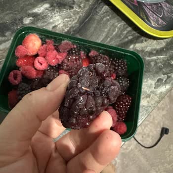 Donmuş Meyvelerden Çıkan Kurtlar Şok Etti Sağlığımız Tehlikede Mi