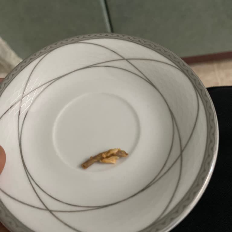 Siparişimdeki Kemik Dişimi Kırdı!