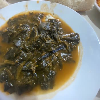 KYK Yurdunda Hijyen Sorunu: Yemekte Kıl Ve Plastik Kelepçe