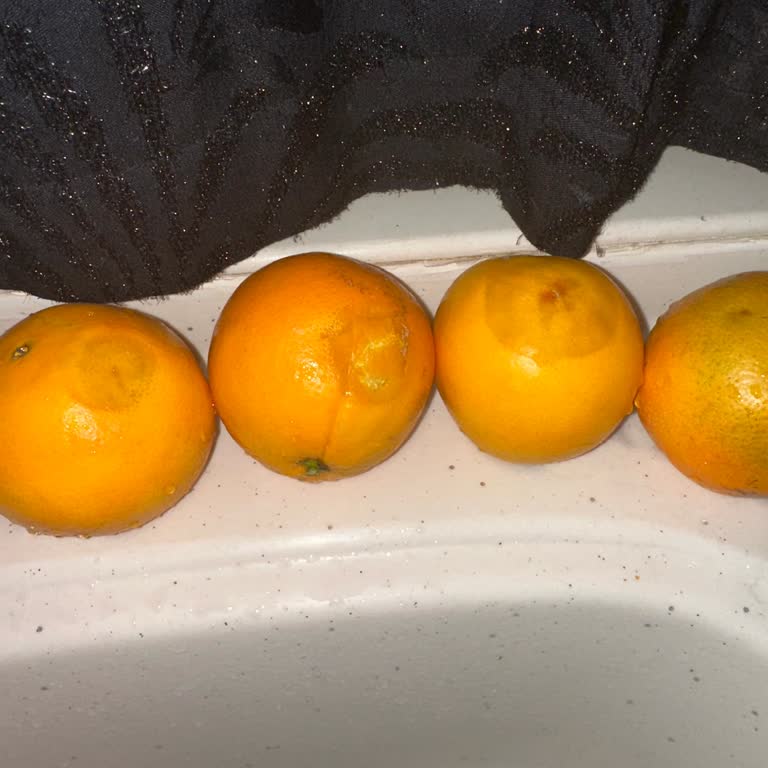 Online Siparişlerde Kalite Sorunu