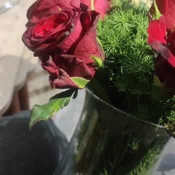 Özel Gün İçin Hayal Kırıklığı: Solmuş Çiçek Teslimatı