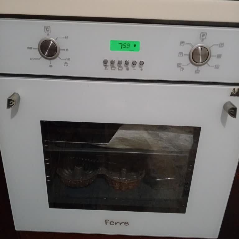 Ferre Ankastre Fırın Kapak Kulpu Sorunu