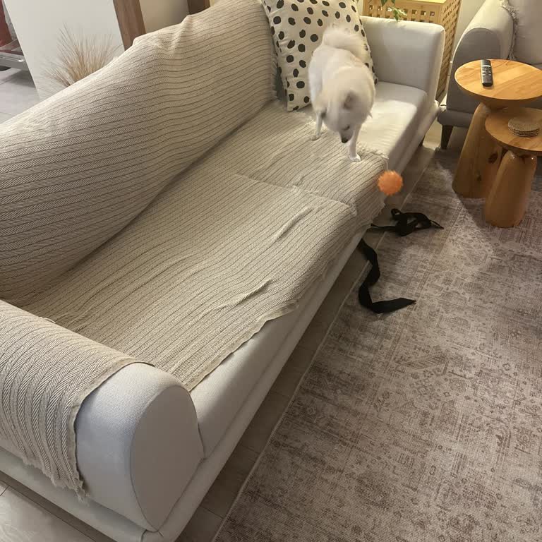 Vivense Koltukları Sallanıyor Ve Güven Vermiyor