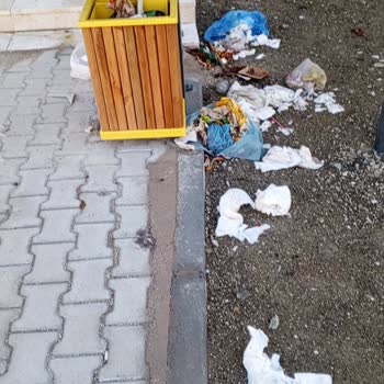 Deprem Konutlarında Yaşam Mücadelesi