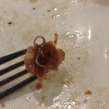 Sultanbeyli Gölet Sosyal Tesisleri Şikayeti