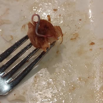 Sultanbeyli Gölet Sosyal Tesisleri Şikayeti