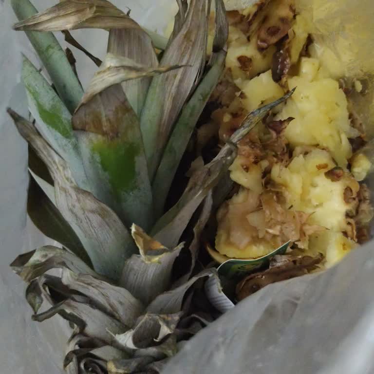 Bozuk Ananas Satışı Ve İade Talebi