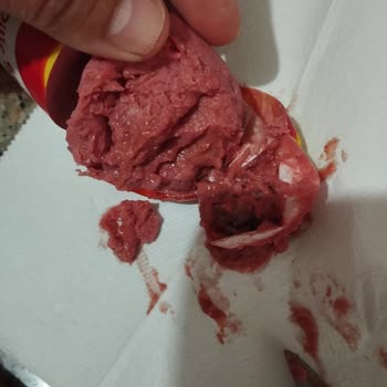 Beşler Piknik Salam: Güven Sarsan Sıvılaşma