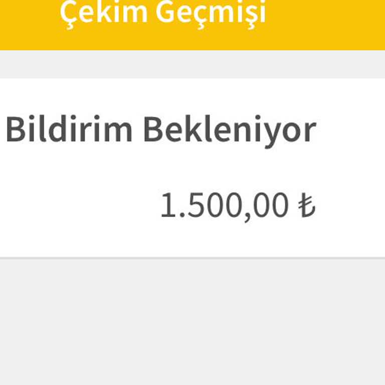 Çekim İşlemlerinde Yaşanan Gecikme Ve Sorunlar