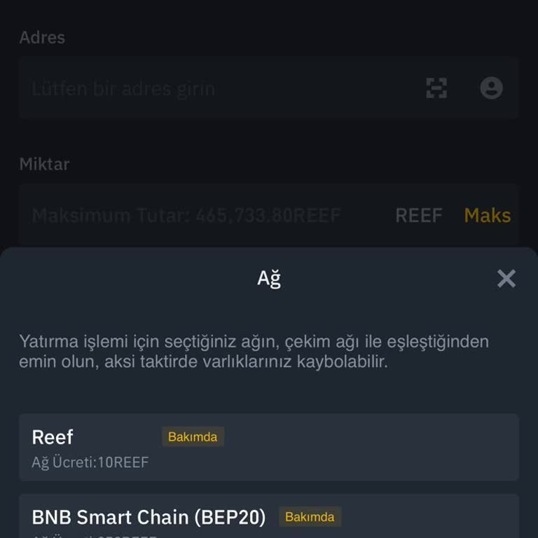 Binance TR'de Delist Olan Coinler İçin Belirsiz Ağ Bakımı Sorunu